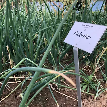 Casa Da Horta * 페소다레과