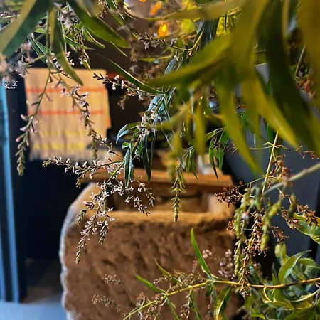 Casa Da Horta Peso da Régua