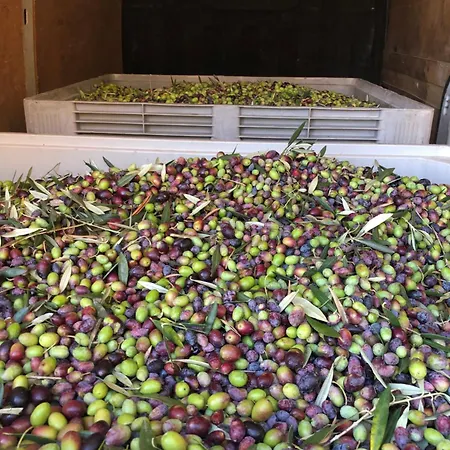 Casa Da Horta * 페소다레과