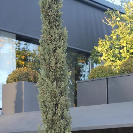 Casa Da Horta Chalé *