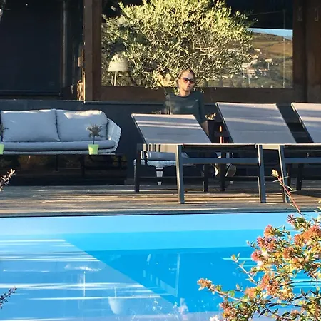 샬레 Casa Da Horta 페소다레과