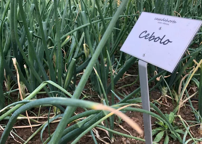 Casa Da Horta * Peso da Régua