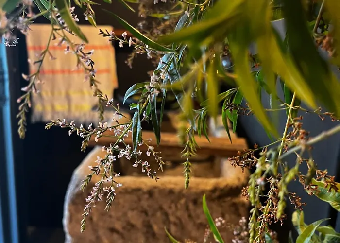 Casa Da Horta Peso da Régua