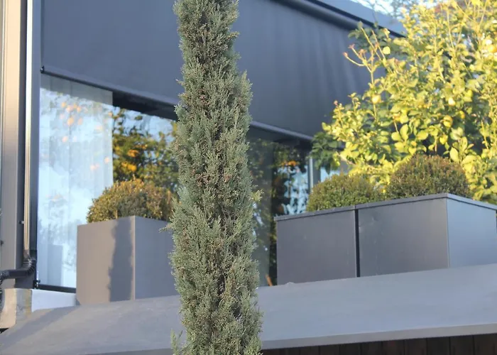 Casa Da Horta 木屋 *